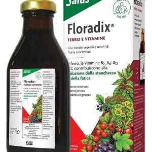 FLORADIX FERRO E VITAMINE 250 ML