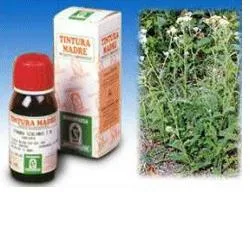 ACHILLEA 51 TINTURA MADRE 50 ML