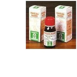 Erisimo 61 Sol Ial 50ml