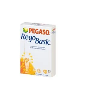 REGOBASIC 12 BUSTINE POLVERE