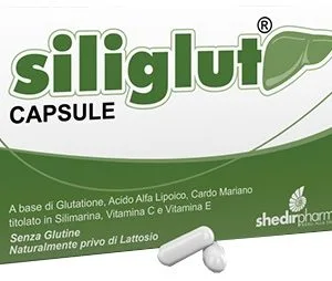 SILIGLUT 20 CAPSULE