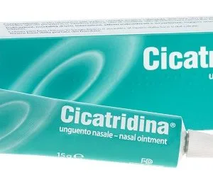 CICATRIDINA UNGUENTO NASALE 15 G
