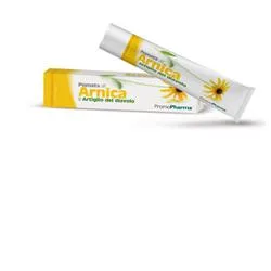 Arnica Gel 98% 500ml