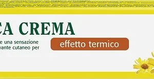 THEISS ARNICA POMATA RISCALDANTE 50 G