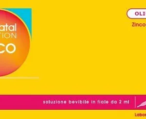 LABCATAL NUTRITION ZINCO 28 FIALE DA 2 ML