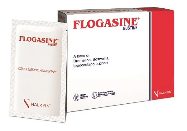 FLOGASINE 20 BUSTINE