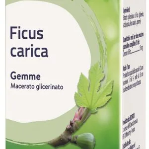 FICUS CARICA BOIRON MACERATO GLICERICO 60 ML